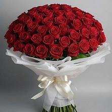 Букет 101 Красная роза Блэк Мэджик в Южном Краснодарского края