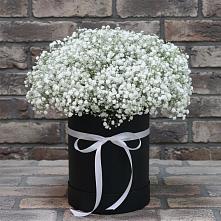 Цветочная композиция из Гипсофила в шляпной коробке в Южном Краснодарского края