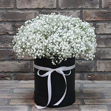 Цветочная композиция из Гипсофила в шляпной коробке в Южном Краснодарского края