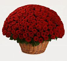 Премиум букет из: Розы в Южном Краснодарского края